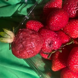 It was maggots on organic strawberry's smh ‍