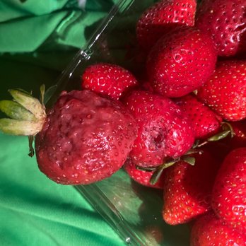 Aldi - It was maggots on organic strawberry's smh ‍ - Grocery Near Me - Chicago, Illinois