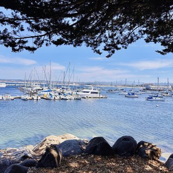 Sister City Park - Parks Near Me - Monterey, California Sister City Park - Parks Near Me - Monterey, California