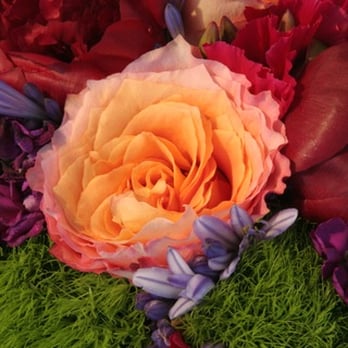 A University Floral Design - Florists Near Me - New York, New York A University Floral Design - Florists Near Me - New York, New York