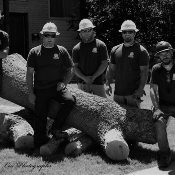Peterson Tree care - Here is some of our team, we are qualified, certified, and professional. - Firewood Near Me - Elk Ridge, Utah Peterson Tree care - Here is some of our team, we are qualified, certified, and professional. - Firewood Near Me - Elk Ridge, Utah