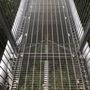 Photo of Illawarra Fly Treetop Walk