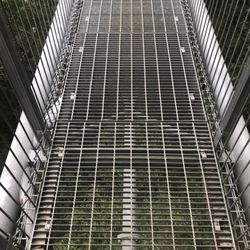 Illawarra Fly Treetop Walk
