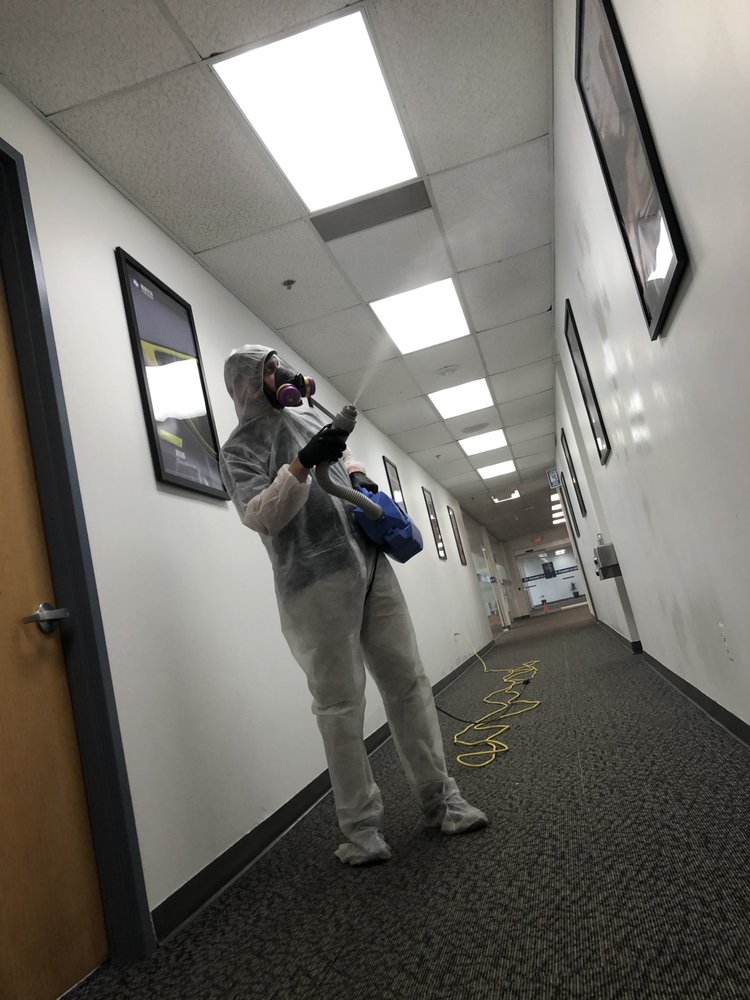 PLYMOUTH CARPET SERVICE 21 Photos & 12 Reviews Carpet Cleaning