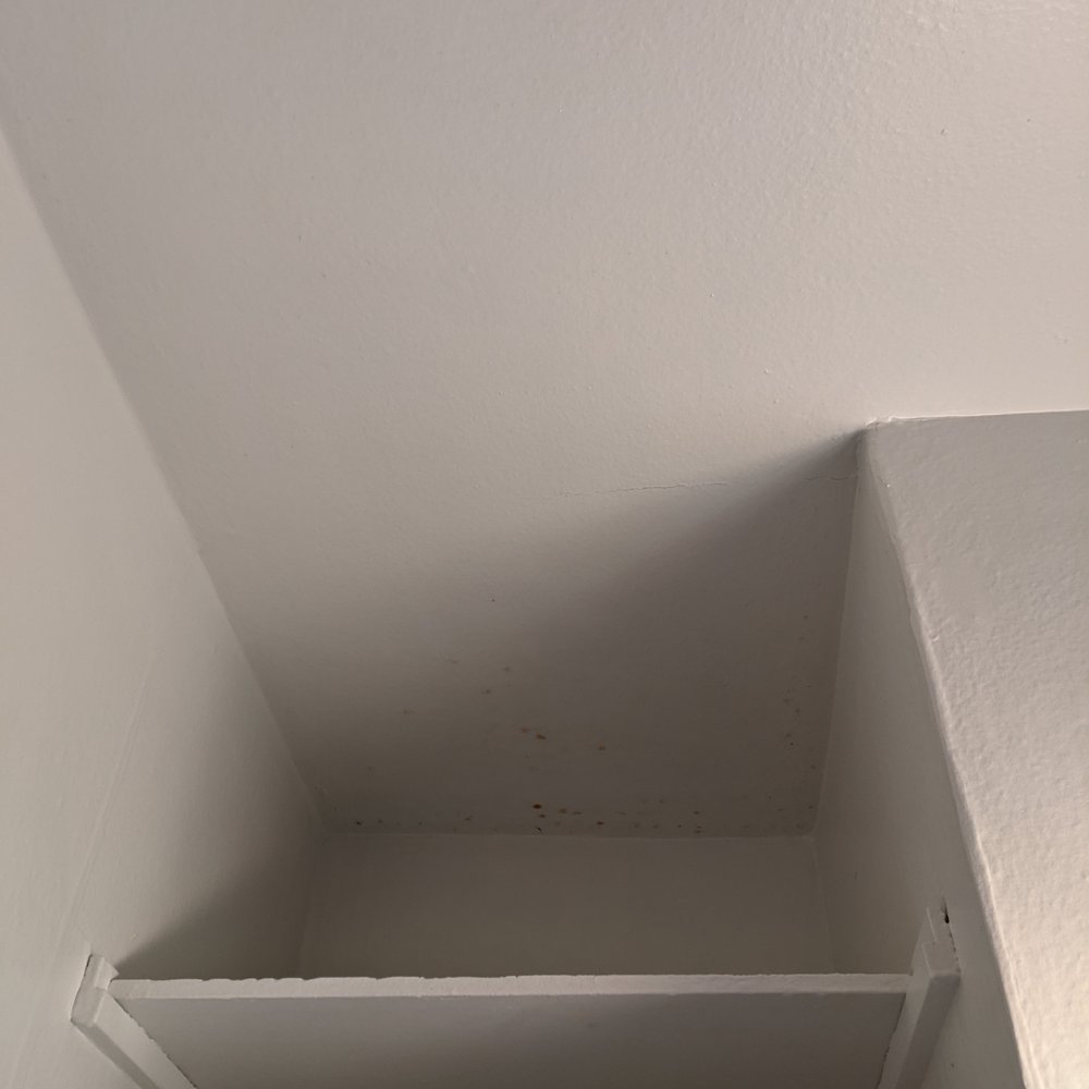 Spit Shine Cleaning and Floor Service - Tracey forgot about cleaning the mildew spots on ceiling. - Home Cleaning Near Me Spit Shine Cleaning and Floor Service - Tracey forgot about cleaning the mildew spots on ceiling. - Home Cleaning Near Me