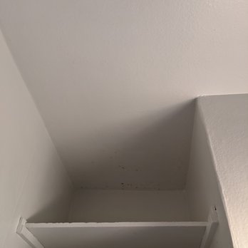 Spit Shine Cleaning and Floor Service - Tracey forgot about cleaning the mildew spots on ceiling. - Home Cleaning Near Me Spit Shine Cleaning and Floor Service - Tracey forgot about cleaning the mildew spots on ceiling. - Home Cleaning Near Me