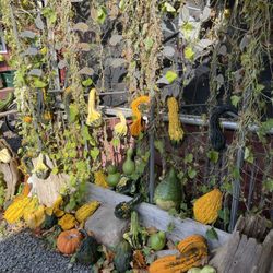 Hagerman Brothers Farms - Hagerman Farms