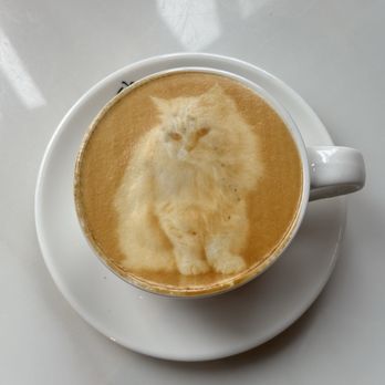 Perfecto Cafe - Cafes Near Me - Vancouver, British Columbia Perfecto Cafe - Cafes Near Me - Vancouver, British Columbia