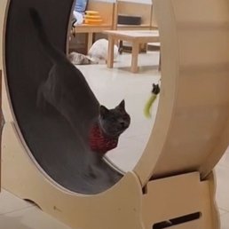 Fun on the wheel Fun on the wheel