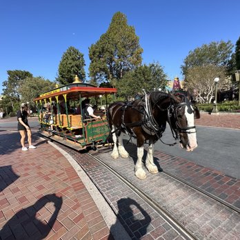 Main Street Vehicles - Carriage - Amusement Parks Near Me - Anaheim, California Main Street Vehicles - Carriage - Amusement Parks Near Me - Anaheim, California