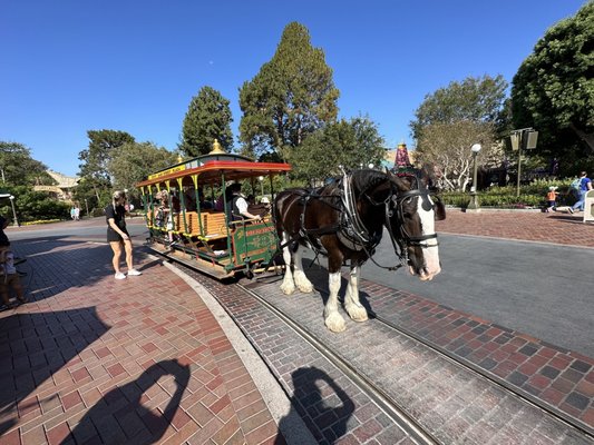 Main Street Vehicles by null