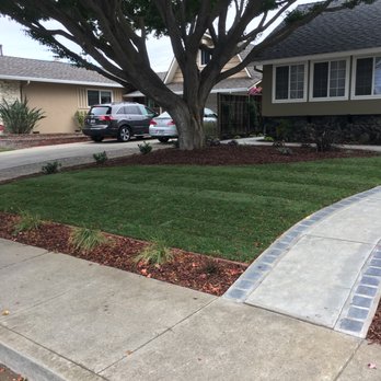 Better Landscape - After - Landscaping Near Me - San Jose, California