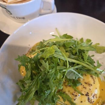 Blind Dog Coffee Lab - Dog House Toast. The hollandaise was so yummy. - Cafes Near Me - Minden, Nevada Blind Dog Coffee Lab - Dog House Toast. The hollandaise was so yummy. - Cafes Near Me - Minden, Nevada
