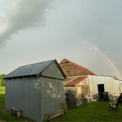 Blue Mule Winery - Rainbow over field at Blue Mule Winery
