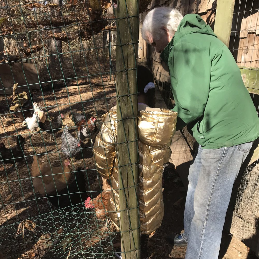Alice Ferguson Foundation - Spending time with the chickens - Community Service/Non-Profit Near Me - Accokeek, Maryland Alice Ferguson Foundation - Spending time with the chickens - Community Service/Non-Profit Near Me - Accokeek, Maryland