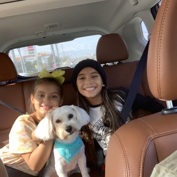 Nikki's Pet Spa - Pet Groomers Near Me - Norco, California Nikki's Pet Spa - Pet Groomers Near Me - Norco, California