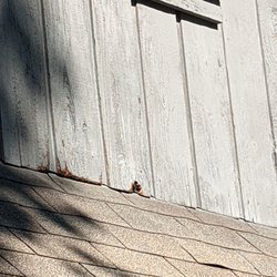 Aunt Bug's Cabin Rentals - Carpenter bee entrance to cabin.