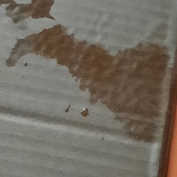 Syracuse Crate - a dog's paw print on the floor - Grocery Near Me - Syracuse, New York