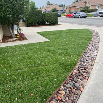 TLS Landscaping - After New installed sod and tree removal. - Landscaping Near Me TLS Landscaping - After New installed sod and tree removal. - Landscaping Near Me