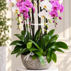 Nicco Floral Design
