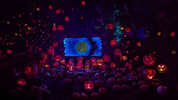 Roger Williams Park Zoo by null