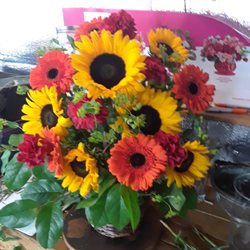 Sunflowers & Gerberas $59.95
