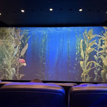 Shedd Aquarium - Aquariums Near Me - Chicago, Illinois Shedd Aquarium - Aquariums Near Me - Chicago, Illinois