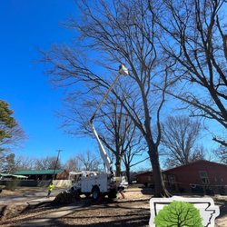 Natural State Tree Service