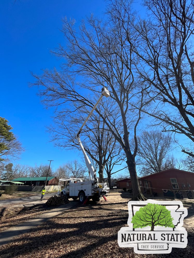 Natural State Tree Service - tree service in Ward, AR