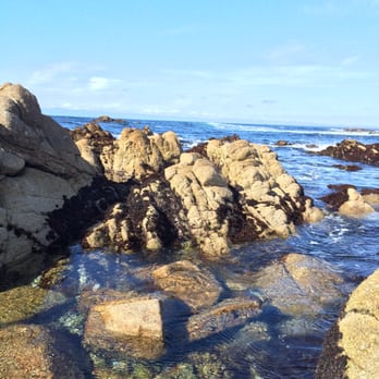 Asilomar State Beach - Parks Near Me - Pacific Grove, California Asilomar State Beach - Parks Near Me - Pacific Grove, California