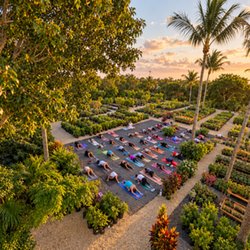SmartyPlants Nursery - Yoga in the garden