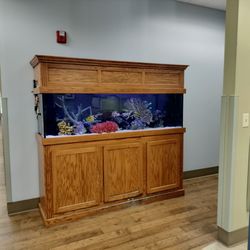 University Pediatric Dentistry at Toy Town - Gotta have the fish tank at the dentist! My kids used to love looking at the fish.