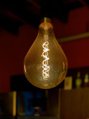 Philips Museum by null