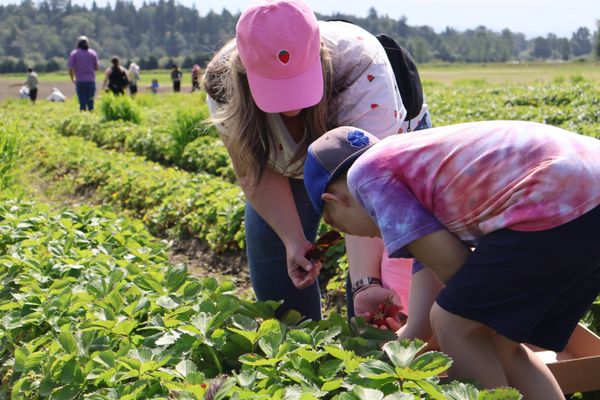 Swans Trail Farms by null