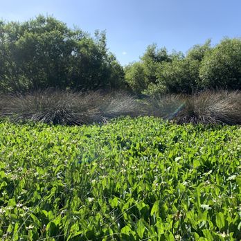 Oak Riparian Park - Parks Near Me - Oceanside, California Oak Riparian Park - Parks Near Me - Oceanside, California