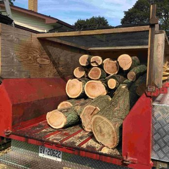 Icon Tree Service - Photo - Tree Services Near Me - New Hamburg, Ontario Icon Tree Service - Photo - Tree Services Near Me - New Hamburg, Ontario