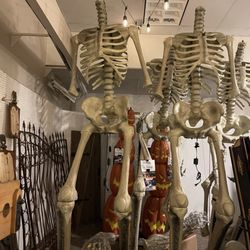 The Best Halloween Store Ever! - Where's their heads!!!!!