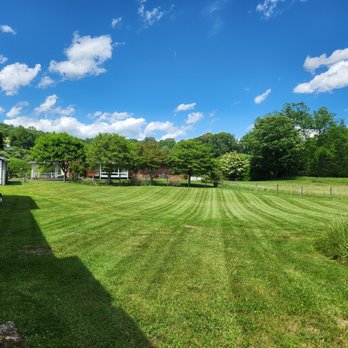 The Grass Cop - Lawn Services Near Me - Kingsport, Tennessee The Grass Cop - Lawn Services Near Me - Kingsport, Tennessee