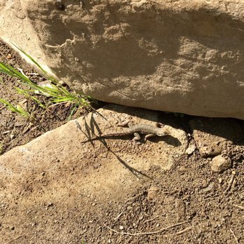 North Fork Matilija Creek Trail - Hiking Near Me - Ojai, California