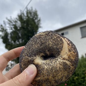Maury's - Poppy seed - Bagels Near Me - Los Angeles, California