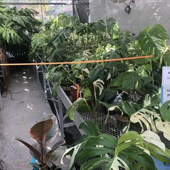 Alpine Nursery & Landscape - Nurseries & Gardening Near Me - Puyallup, Washington