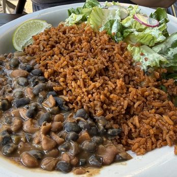 Dorado - Veggie Enchiladas Verde - Mexican Near Me - Rochester, New York