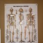 Photo of Plains Physical Therapy