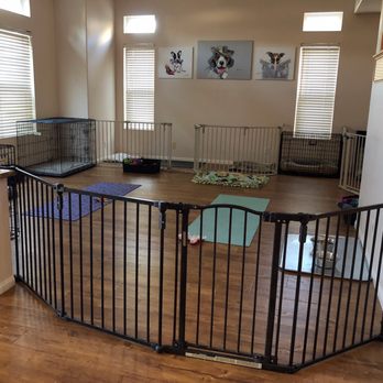 Leashes And Leisure - Just bring your doggie bed and blankie!!! - Pet Boarding Near Me Leashes And Leisure - Just bring your doggie bed and blankie!!! - Pet Boarding Near Me