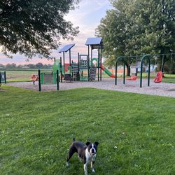 Homestead Park - Homestead park playground