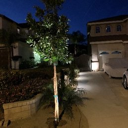 These are 2 of the 15 trees/plants I picked out.