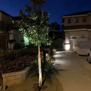 Paramount Nursery - These are 2 of the 15 trees/plants I picked out. - Nurseries & Gardening Near Me - Los Angeles, California