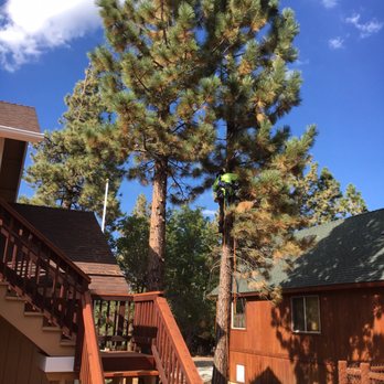 Poseidon Valley Tree Service - More good work - Tree Services Near Me - Running Springs, California Poseidon Valley Tree Service - More good work - Tree Services Near Me - Running Springs, California