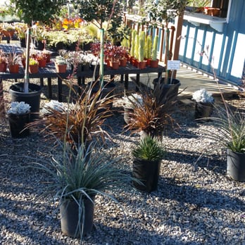 Curby's Nursery - Nurseries & Gardening Near Me - Temecula, California