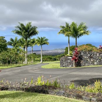 Monarch Coffee Farm - View from the top - Farms Near Me - Holualoa, Hawaii